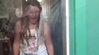 Komik Hayvan Videoları