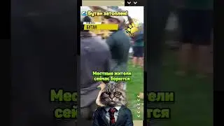🌊 Бутан затоплен!