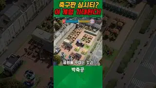 축구판 시티즈 스카이라인?