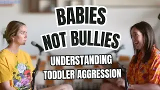 Babies Not Bullies | How to understand and respond to toddler aggression