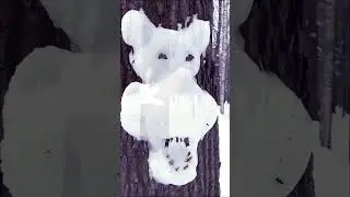 🧸С добрым утром