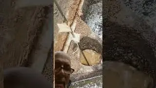 Unclogging a septic tank!
