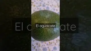 Авокадо зелене