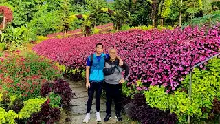 THE MOST BEAUTIFUL FLOWER GARDEN IN THE PROVINCE OF CEBU!#cebutourism #flowergarden #seniorcitizen