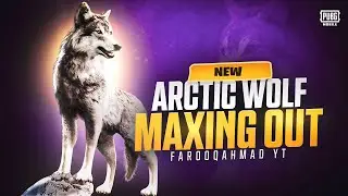 Arctic wolf Companion Maxing out | 🔥 PUBG MOBILE 🔥