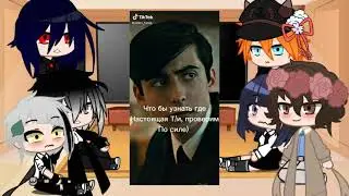 Реакция бродячих псов на Т/и (2/?)