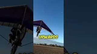 Was This Worth $10,000? (
