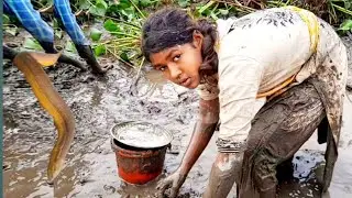 Amazon Fishing Video 2023|Best Fishing Video |Best Hand Fishing Video|