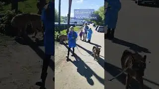 Если вы не были у нас в приюте - то мы идём к вам😁 @izpriuta_ #приютдлясобак #добро #весна