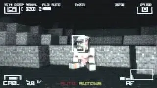 Minecraft Apollo footage