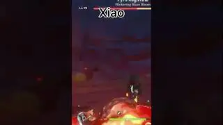My top damage In Genshin Impact (all 5 stars are C0/C1)