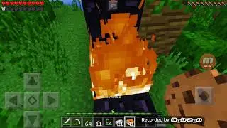 Minecraft №10