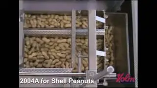 Volmpack 2004A Industrial Weigher - In Shell Peanuts