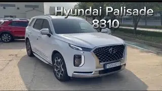 Hyundai Palisade (8310)