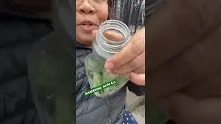 You have to try this Winter Sowing 🌱