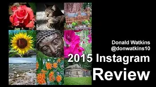 Instagram Review for 2015 | The Year in Pictures
