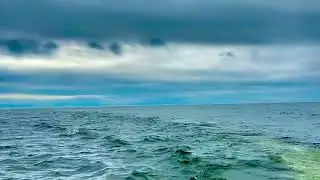 Красоты Байкала летом