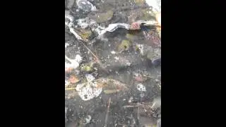 Playin' in mud