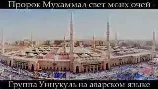 Нашид 