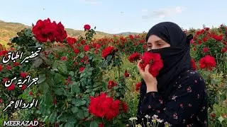 موسم الزهور 🌹تحضير مربى الزهور  في ريف  الجزائر🌱🌱
