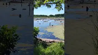 Страшное болото 