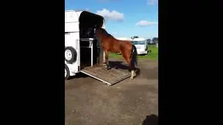 Loading Hermes