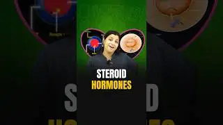 Steroid Hormones | NEET Concept 