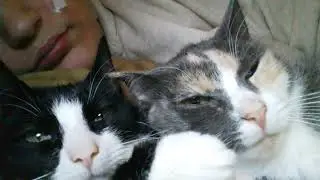 a Rommie and her friend Katrina