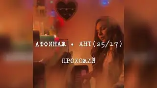 Аффинаж & Ант (25/17) - Прохожий (Anna Lht cover)
