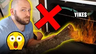 DO NOT STERILIZE YOUR WOOD! Save Money, Time, & Help Your Reptiles Immune System Using This Method!