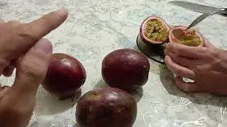🍊 Маракуйя или фрукт страсти - как его есть и какой на вкус