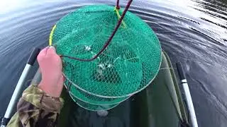 Одно удовольствие на ПРИРОДЕ. Шашлычки и чилим!