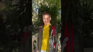КТО ПРЯЧЕТСЯ В КУСТАХ?😅