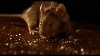 Город потерянных детей - изящное ограбление