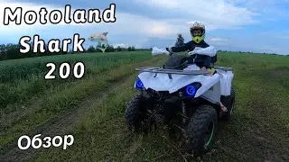 ОБЗОР КВАДРОЦИКЛА MOTOLAND SHARK 200🦈
