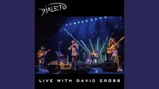 Starless (Live) (feat. David Cross)