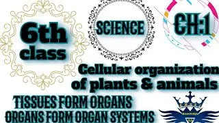Class:6,Sub:Science,Ch:1 Topic: Tissues form organ, Organs form organ system