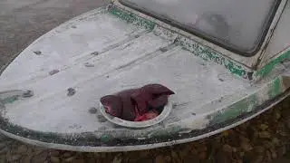 Жарим свежую печень по таежному.