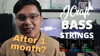 BUDGET BASS STRINGS AFTER 1 MONTH?! | JCraft Bass Strings - Review & Demo - PART II