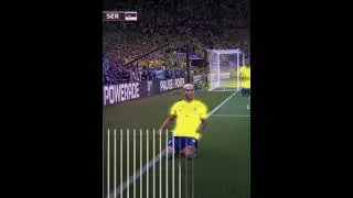 Richarlison's banger vs Serbia 🤩