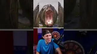 YOU LAUGH, YOU LOSE 😂 