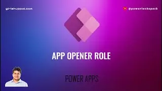 What is the purpose of App Opener Role in Power Platform environment?