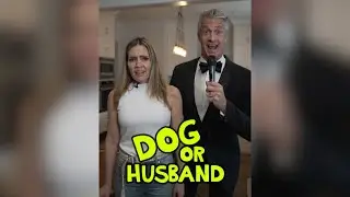 Everyone’s Favorite Game: Dog or Husband 🎉