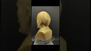 Суворов и Ленин