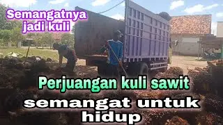 Cara muat sawit//mbrodoli sawit