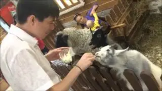 Уфимский контактный зоопарк