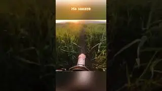 Бархатно пилим трэк на закате 🔥 #мотоманьяк #motomaniac #эндуро #питбайк #хардэндуро #enduro #moto