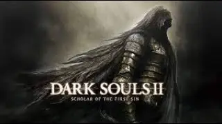 DARK SOULS™ II: Scholar of the First Sin . Баг