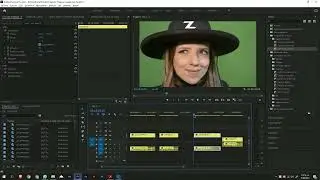 video rápido edición de la serie web Palíndroma