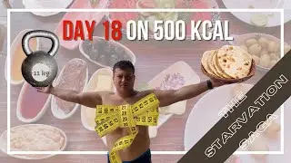 How to LOSE WEIGHT FAST. ROTI and CURRY on 500 kcal. Day 18 #challenge #diet #loseweightfast